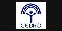 cedro