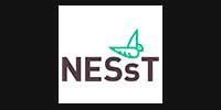 nesst